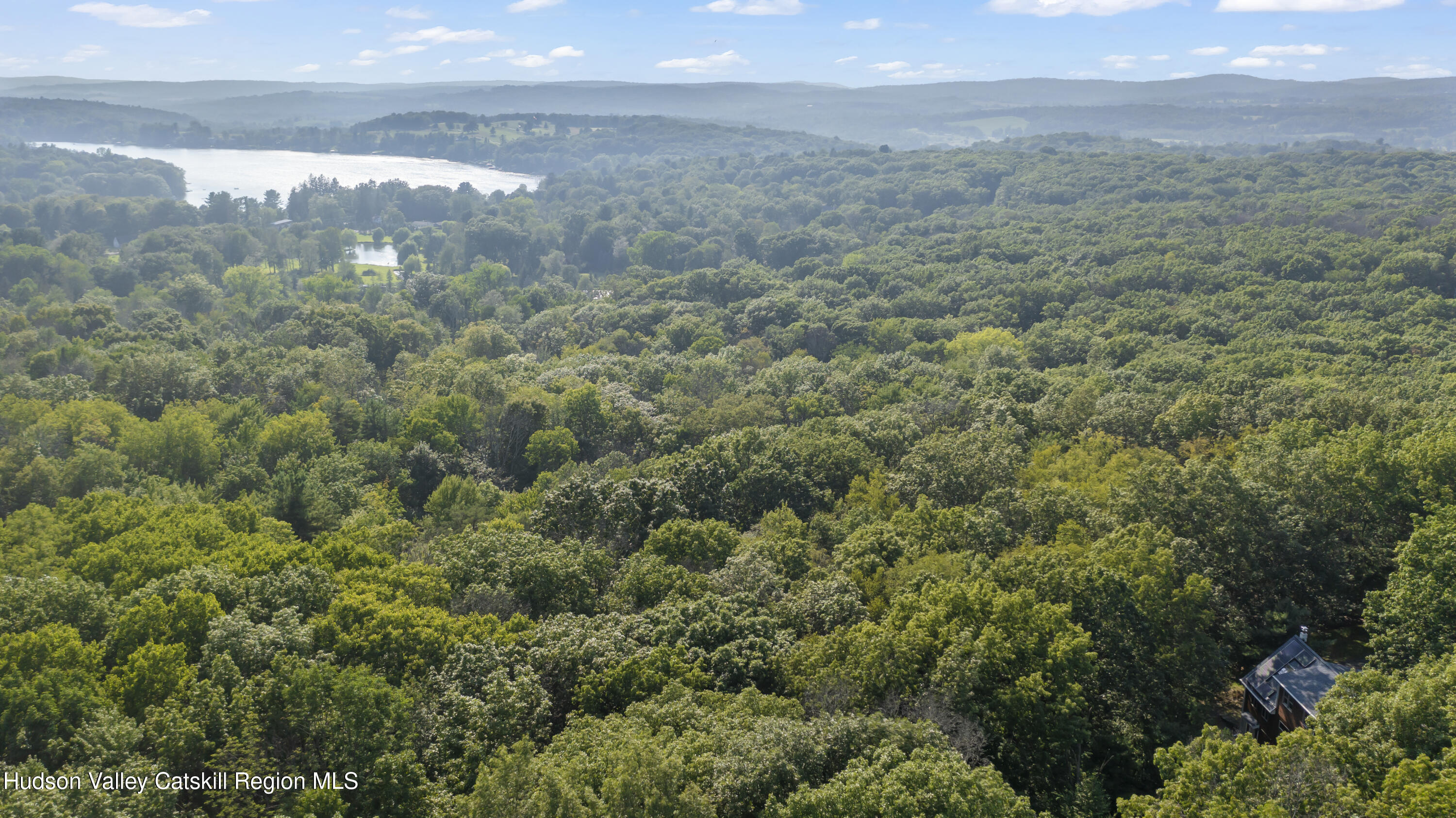 117 Spring Street Craryville, NY 12521 - Photo 4 of 31 a view of a yard