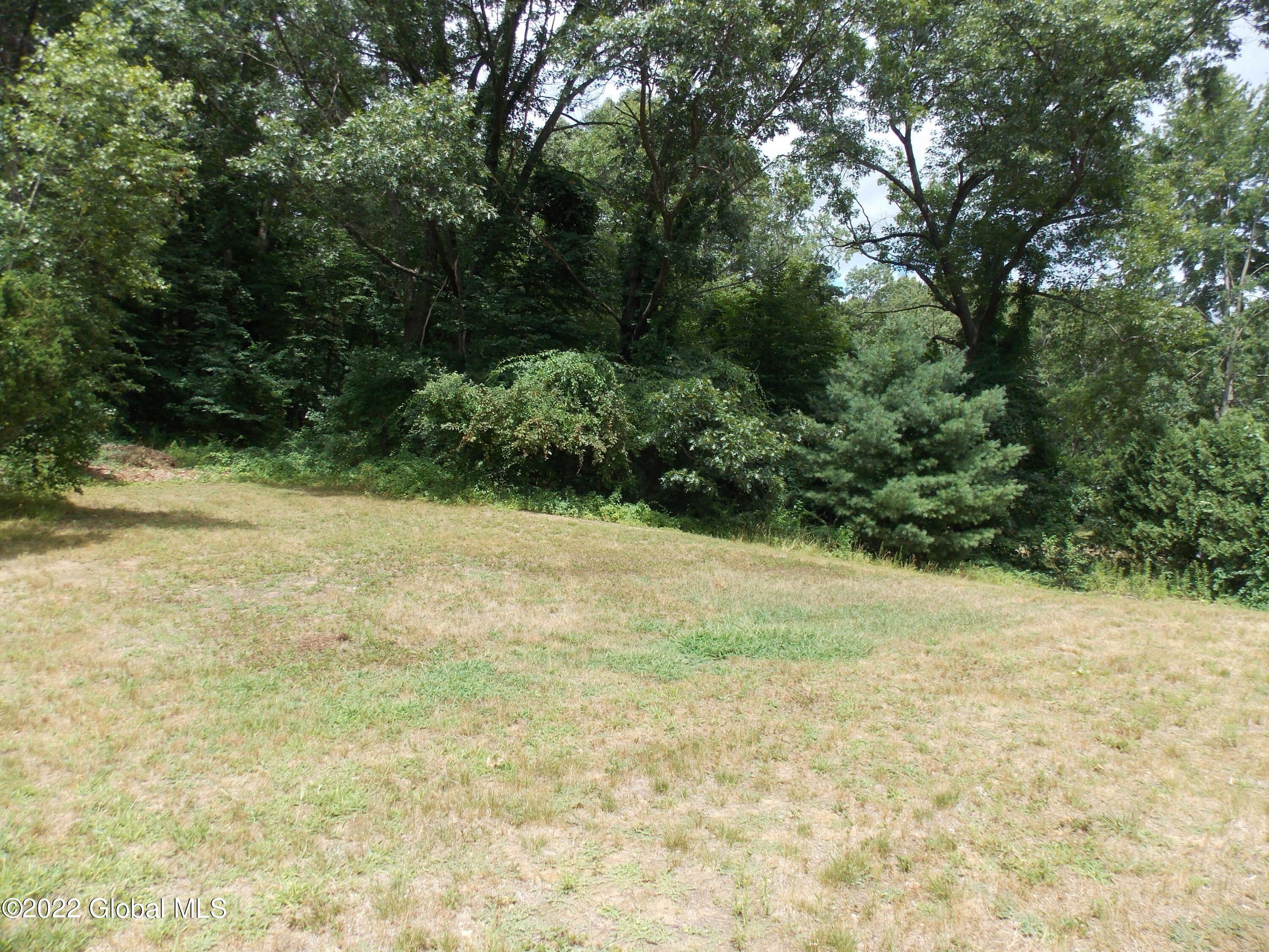 617 Grooms Road Clifton Park, NY 12065 - Photo 21 of 22 DSCN7643