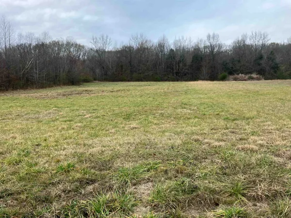 a view of a field with trees in the background