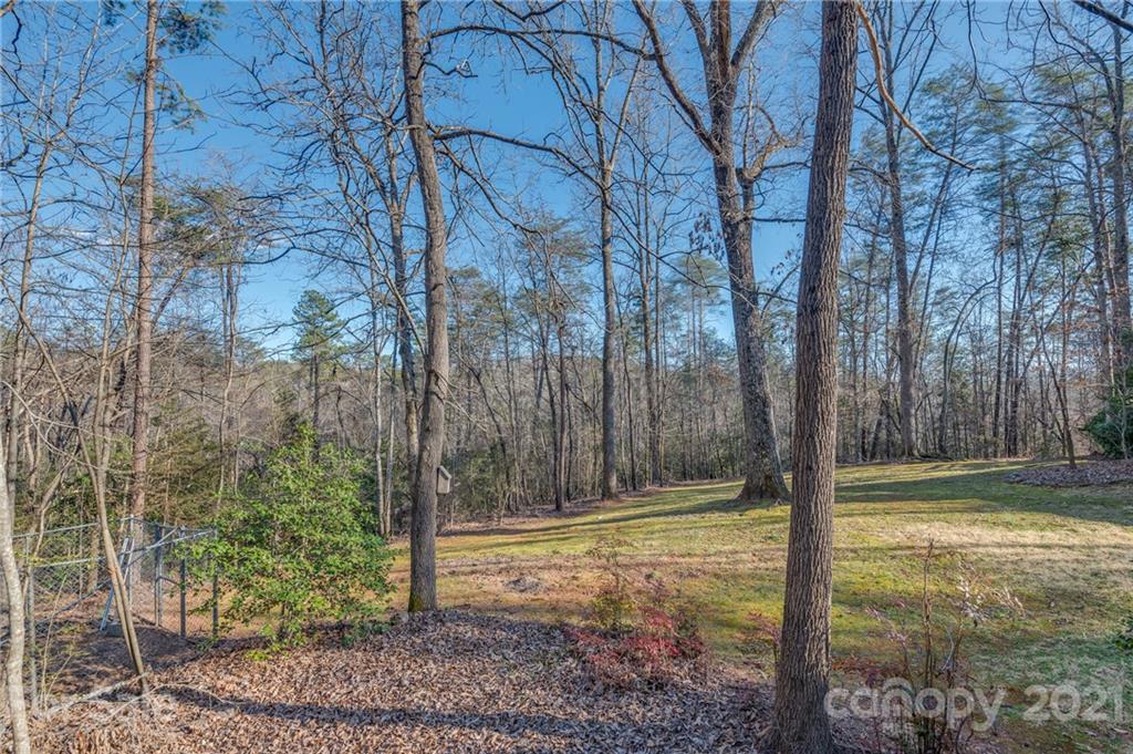 301 Willow Pond Road Rutherfordton, NC 28139 - Photo 38 of 42 a view of a yard with a tree