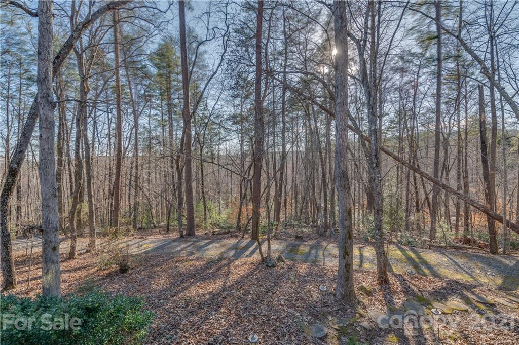301 Willow Pond Road Rutherfordton, NC 28139 - Photo 10 of 42 a backyard of a house with lots of green space