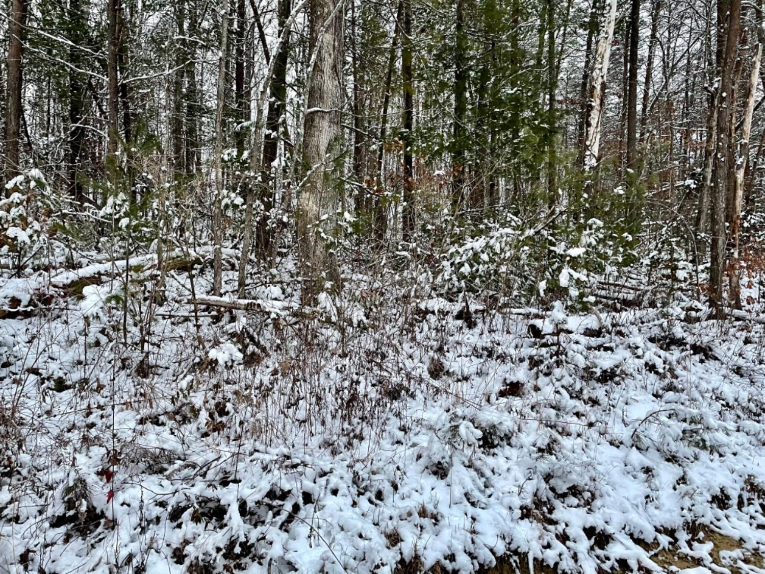 1000 Flat Gap Road Berea, KY 40403 - Photo 2 of 4 Photo 2