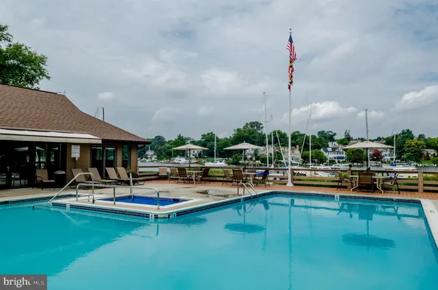 a view of a backyard with large trees and plants
