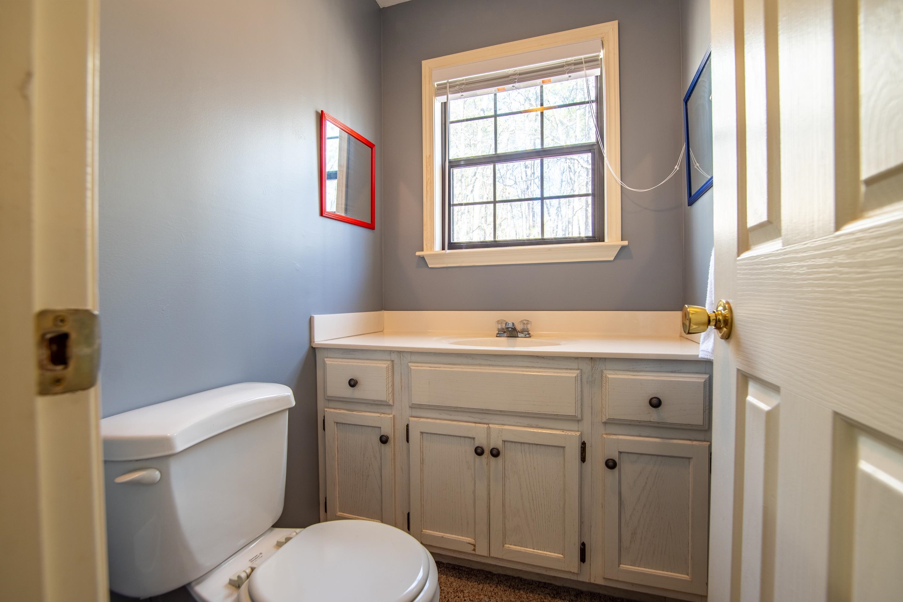 315 Bryson Harbor Road Counce, TN 38326 - Photo 24 of 37 a bathroom with a sink vanity mirror and toilet