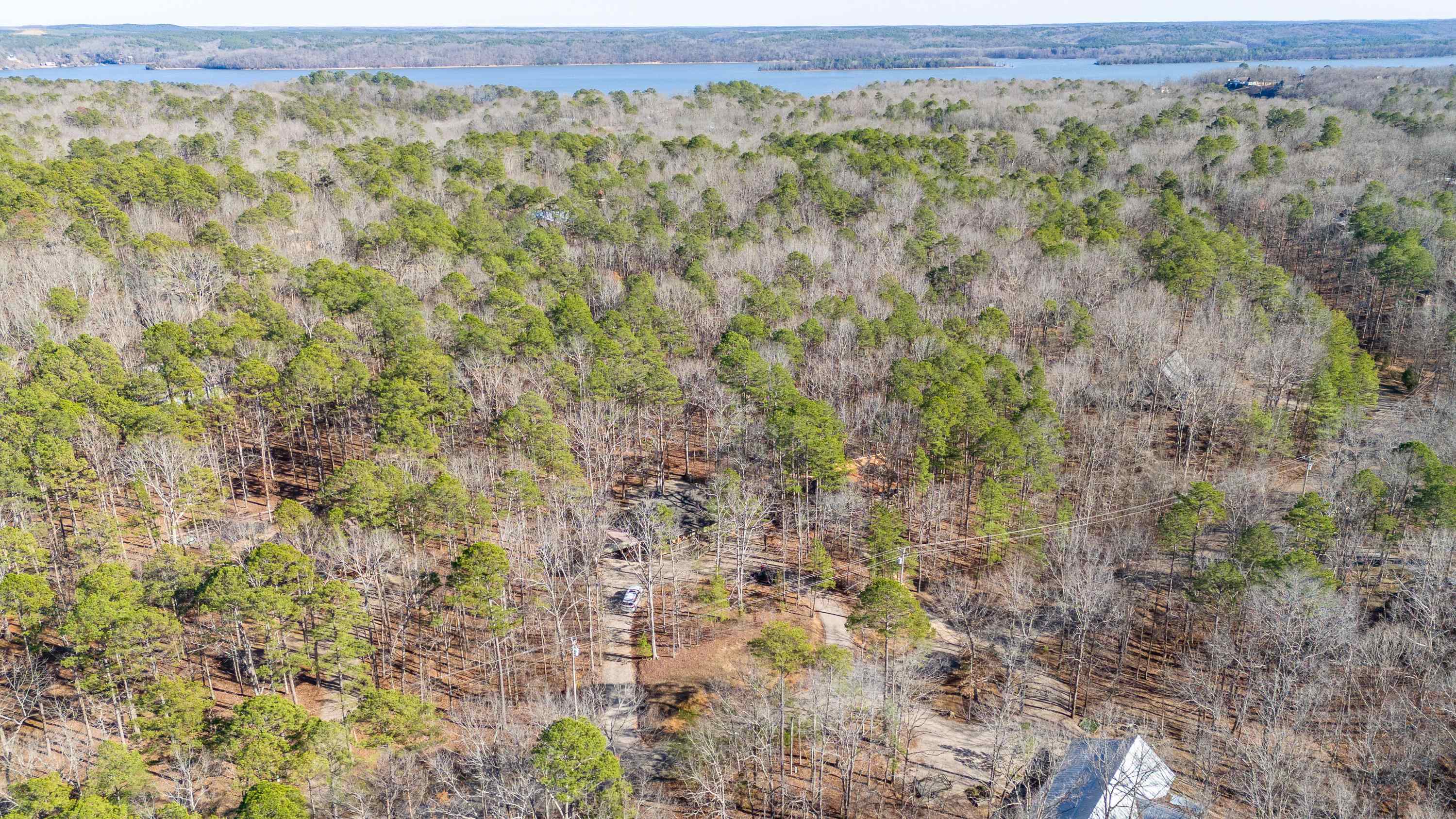 315 Bryson Harbor Road Counce, TN 38326 - Photo 34 of 37 a view of a city and mountain view