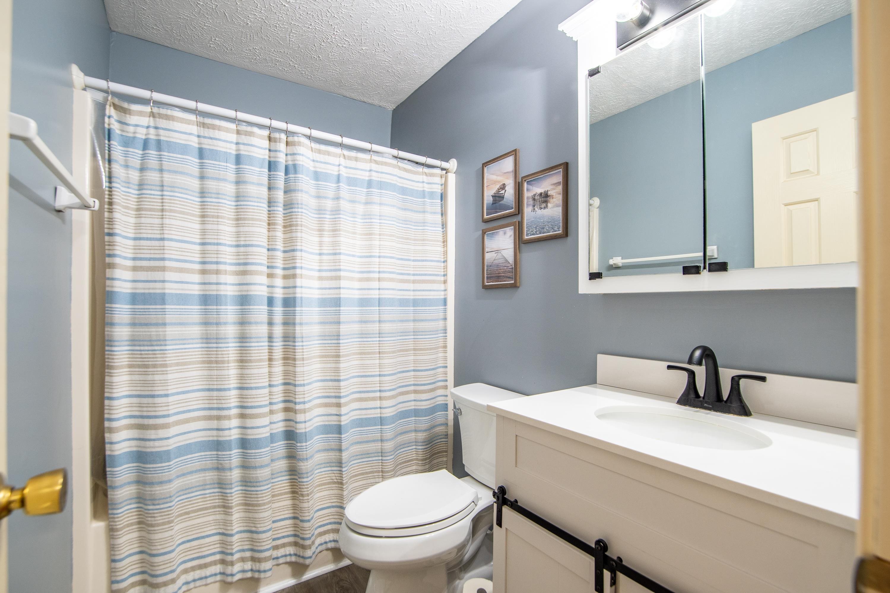 315 Bryson Harbor Road Counce, TN 38326 - Photo 8 of 37 a bathroom with a sink a toilet and shower curtain
