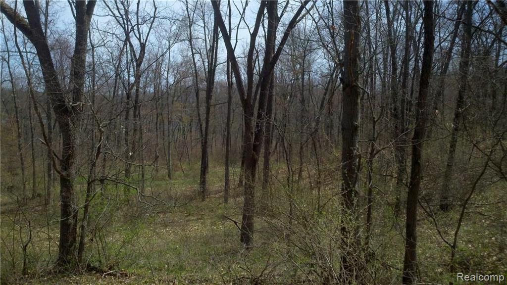 V/l V/l Doyle Road Pinckney, MI 48169 - Photo 12 of 24