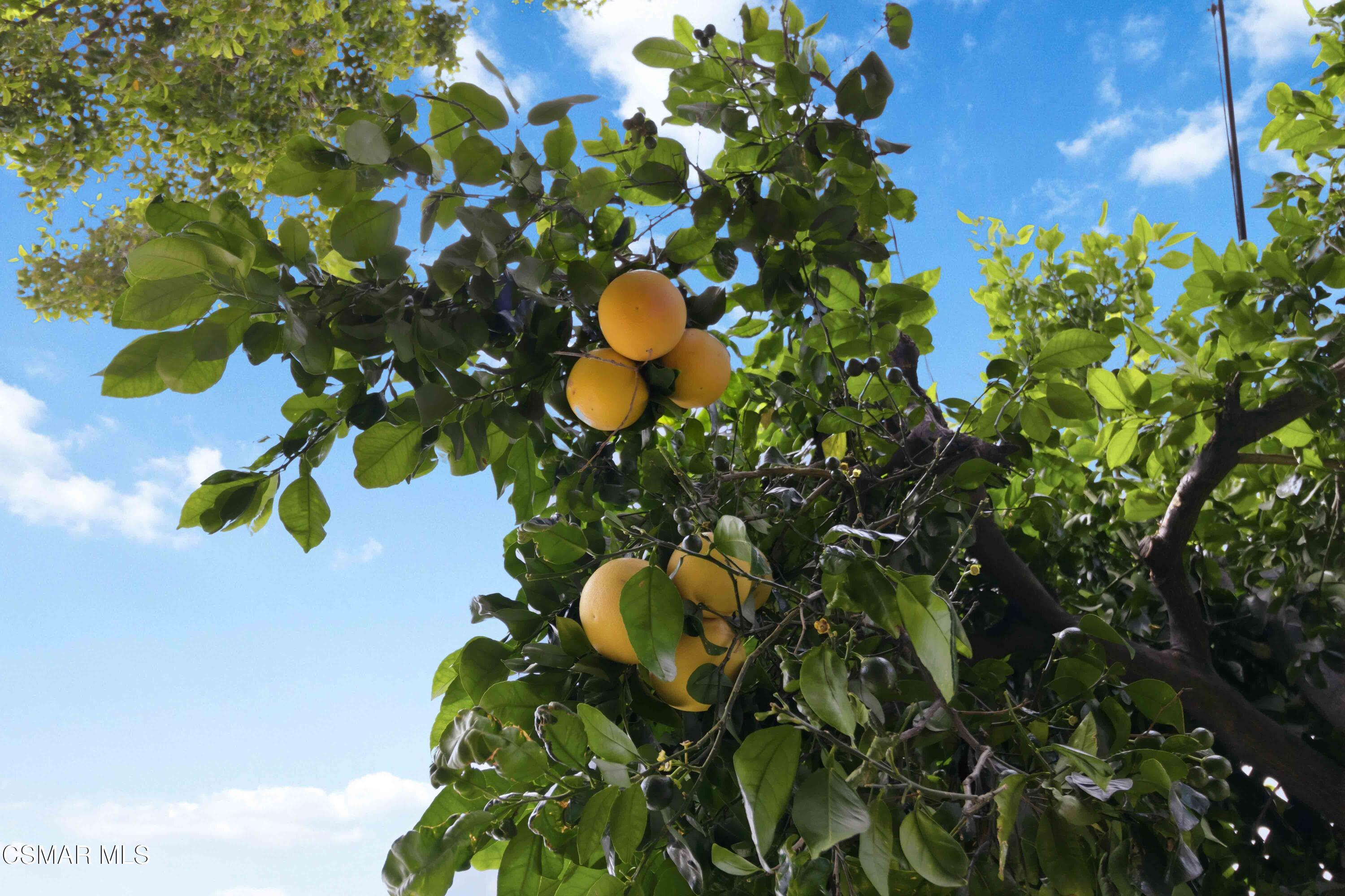 6456 Menlo Street, Unit STREET Simi Valley, CA 93063 - Photo 27 of 27 046