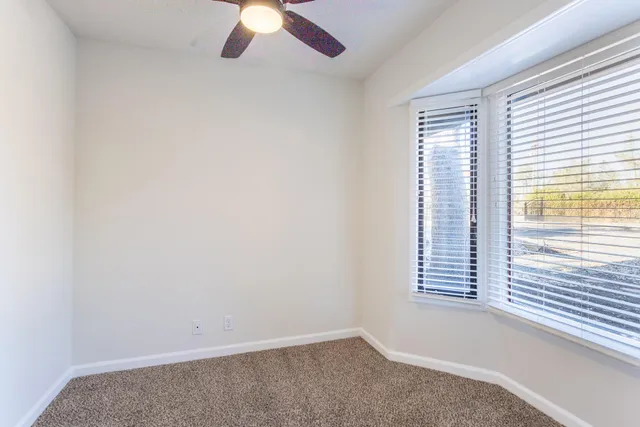 a view of a yard with plants and large trees