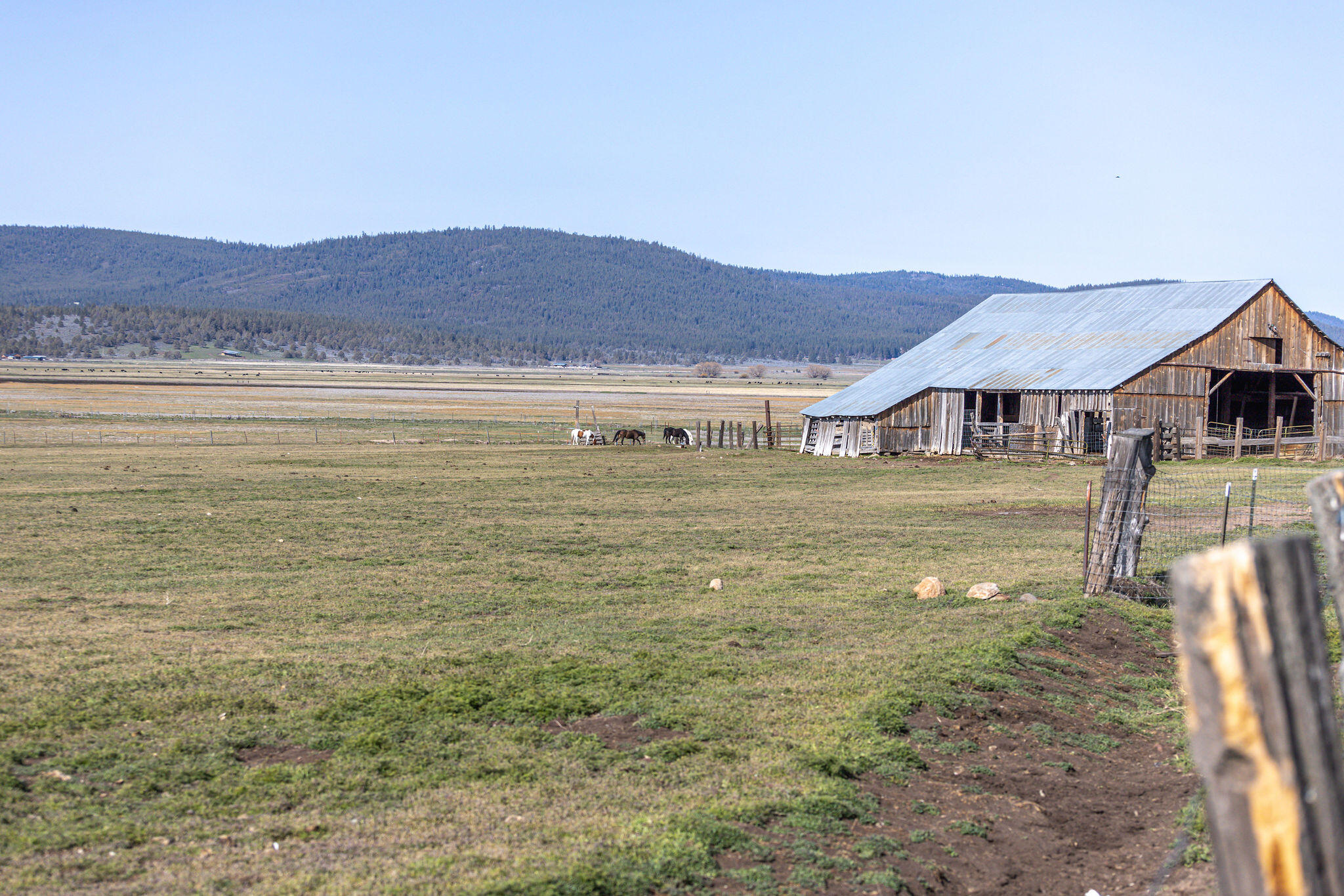 20850 Campbell Road Bly, OR 97622 - Photo 27 of 137 090A5796