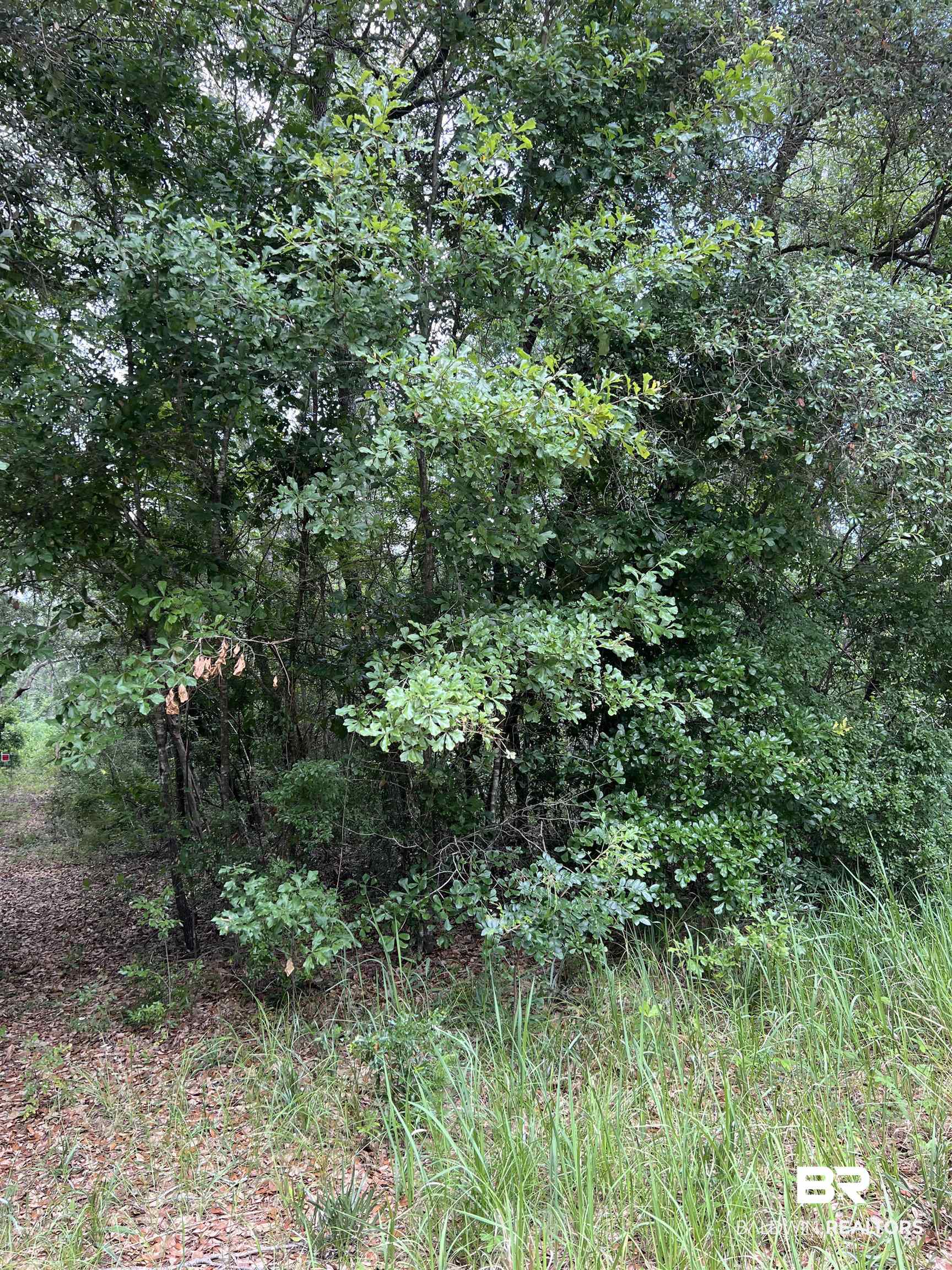 0 West Fernwood Drive Foley, AL 36535 - Photo 2 of 4