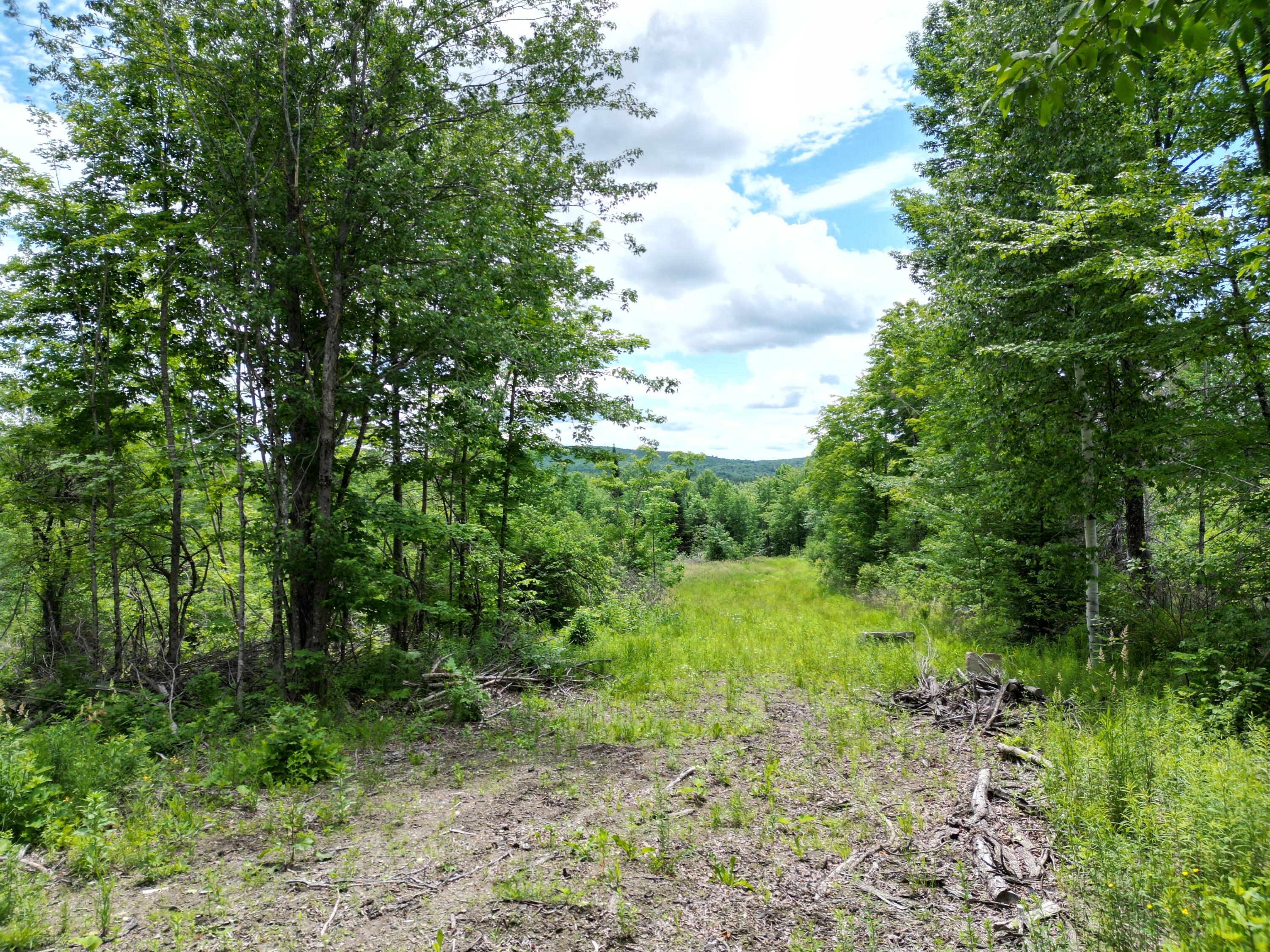 Lot 2 Main Road Carroll Plt, ME 04487 - Photo 6 of 14 DJI_0754