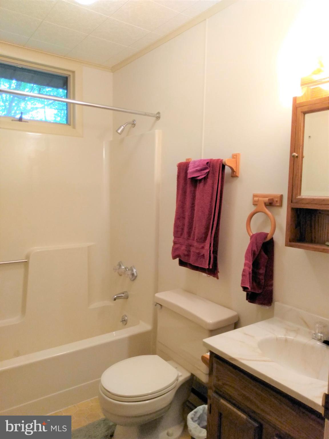 22736 Loop Road Doylesburg, PA 17219 - Photo 16 of 31 Full Bath