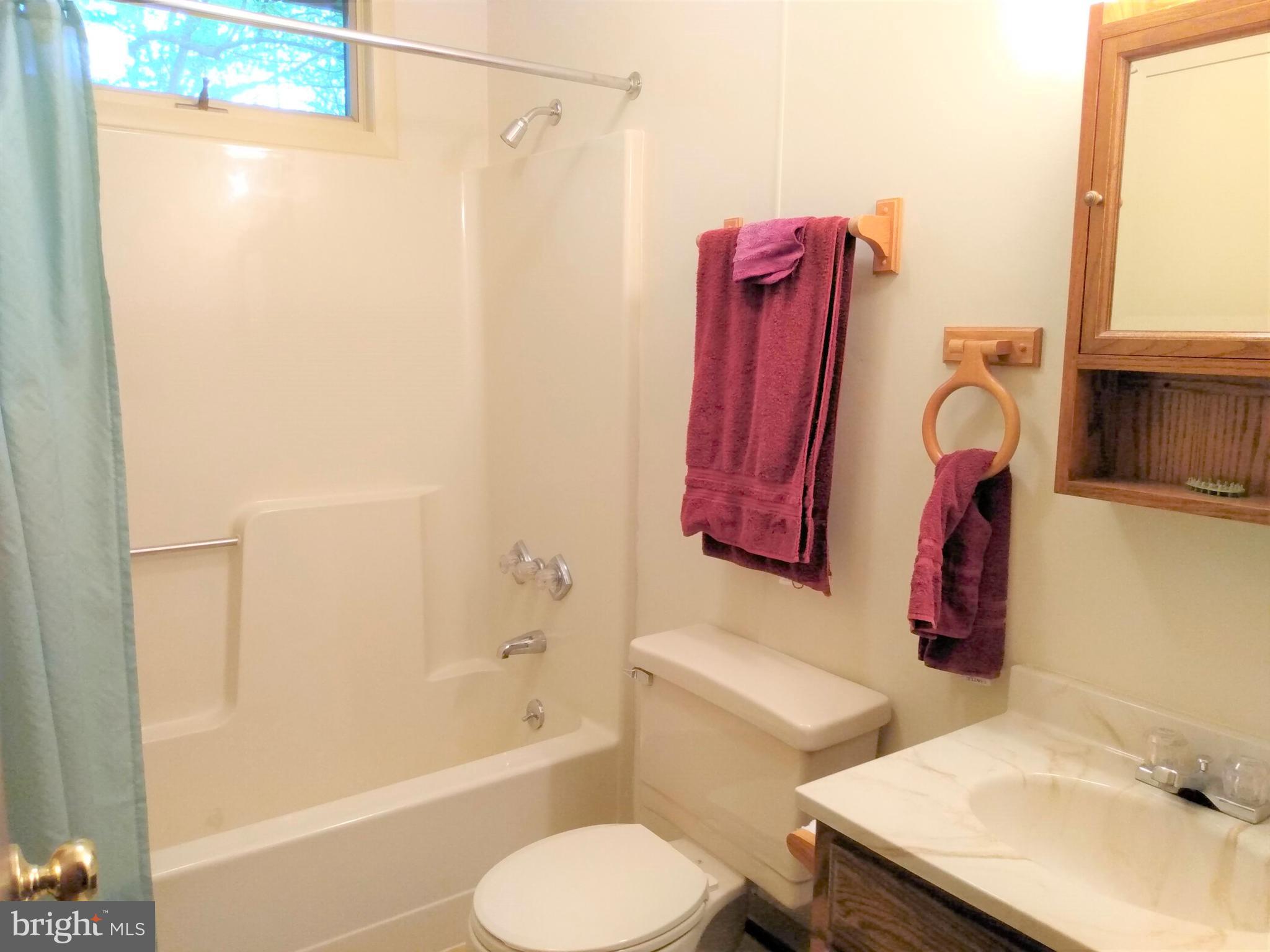 22736 Loop Road Doylesburg, PA 17219 - Photo 17 of 31 Full Bath