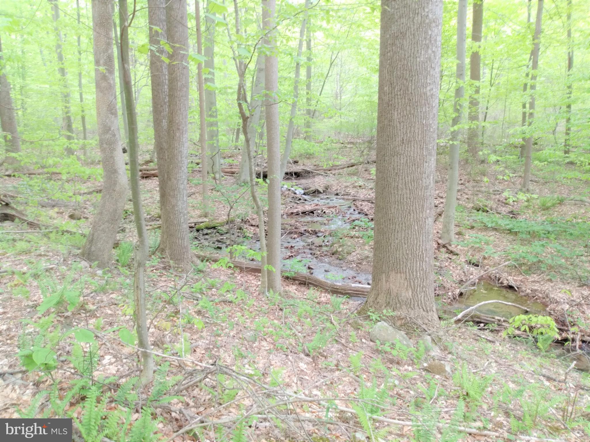 22736 Loop Road Doylesburg, PA 17219 - Photo 27 of 31 Back Yard