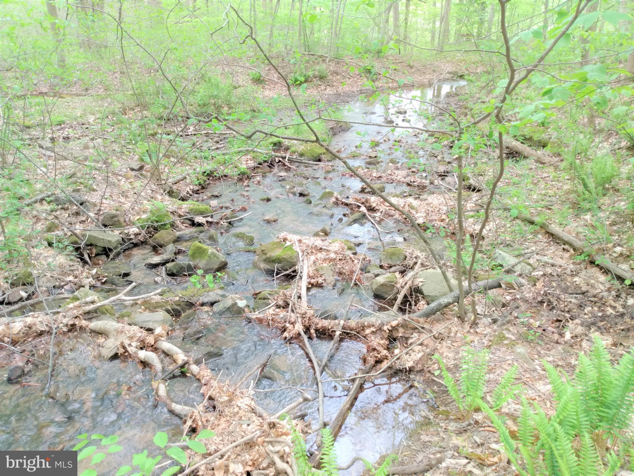 22736 Loop Road Doylesburg, PA 17219 - Photo 28 of 31 Adjacent Stream