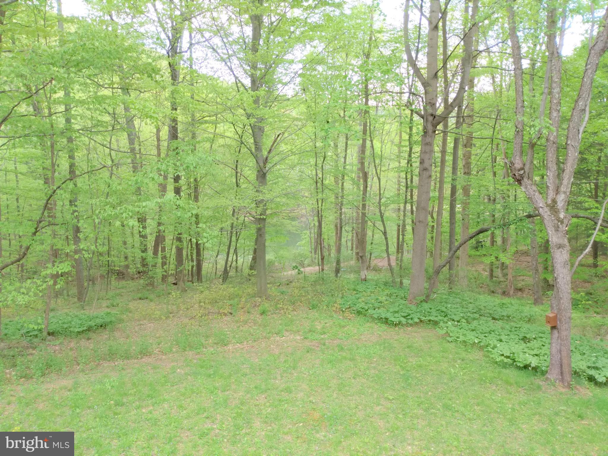 22736 Loop Road Doylesburg, PA 17219 - Photo 29 of 31 Back Yard