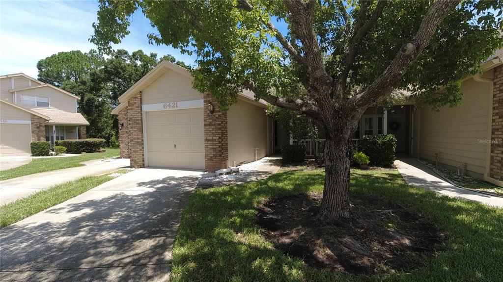6421 Remus Drive New Port Richey, FL 34653 - Photo 22 of 25 a backyard of a house with lots of green space