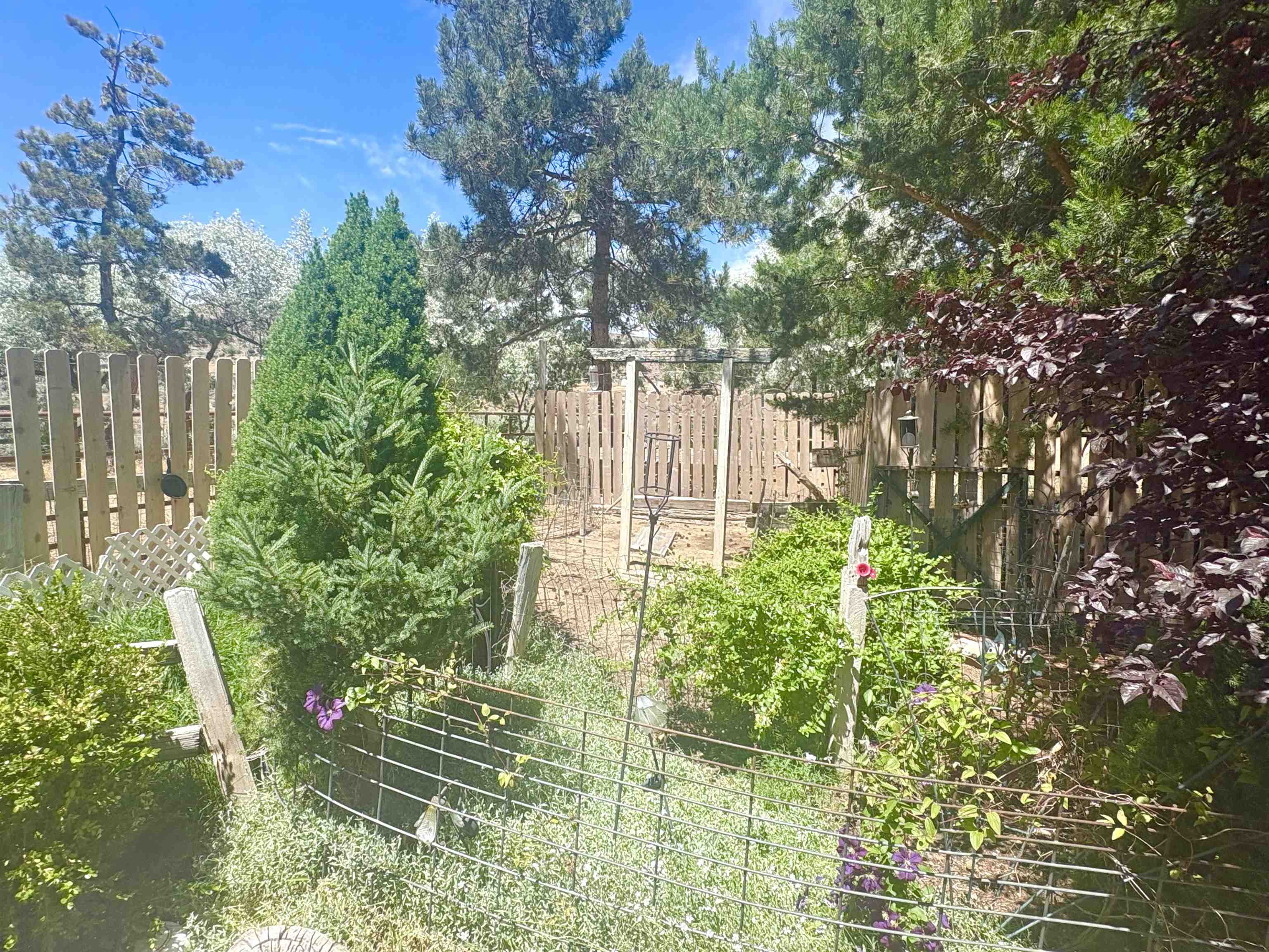 466-115 Byers Pass Road Janesville, CA 96114 - Photo 16 of 21