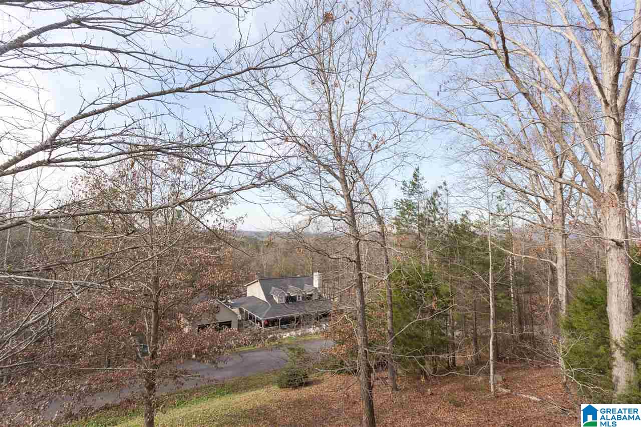 485 Anna Mattison Road Oxford, AL 36203 - Photo 1 of 31