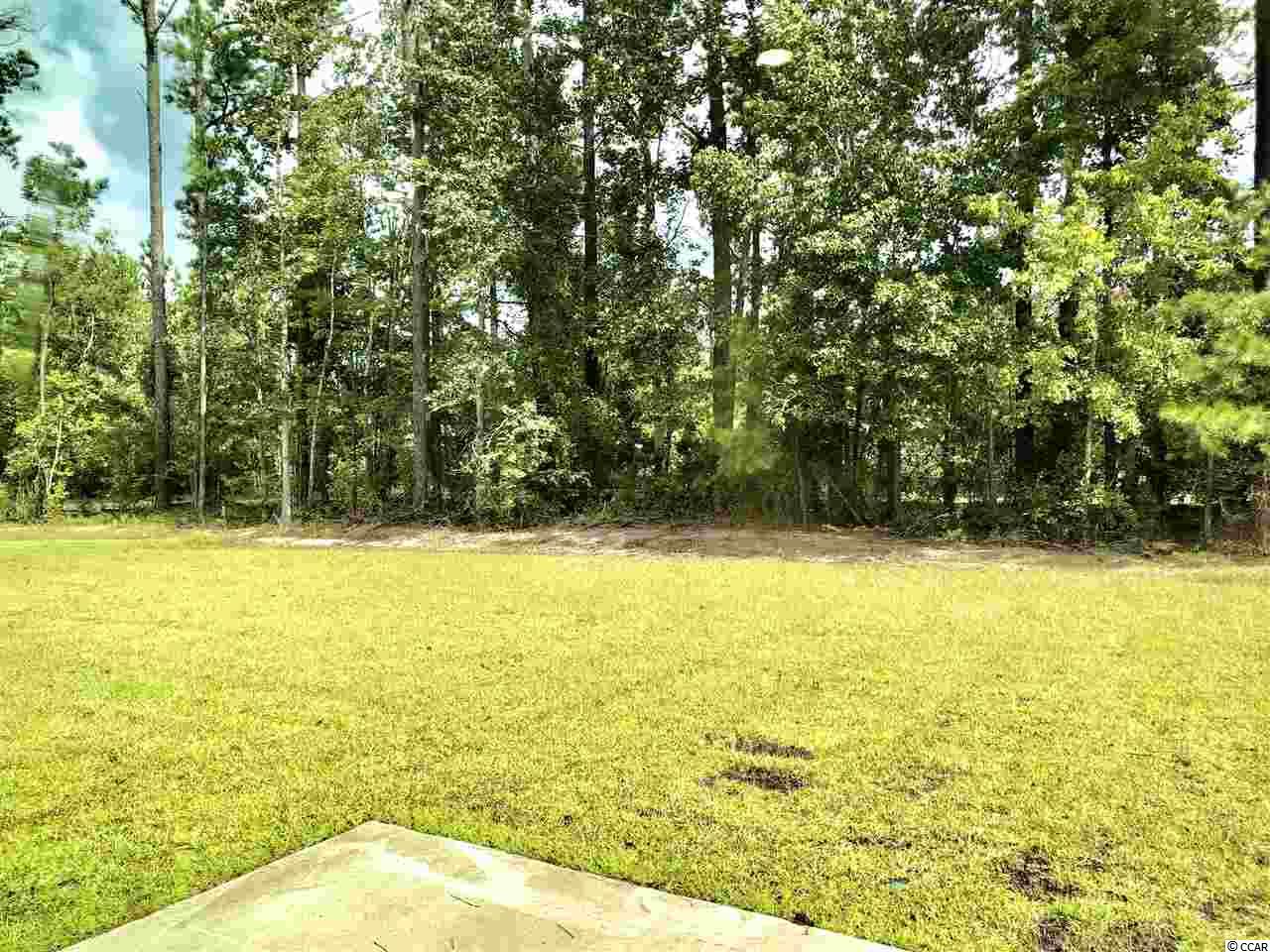 2105 Borgata Loop Longs, SC 29568 - Photo 3 of 17 Gallery Image 3