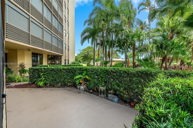 a view of a garden with plants
