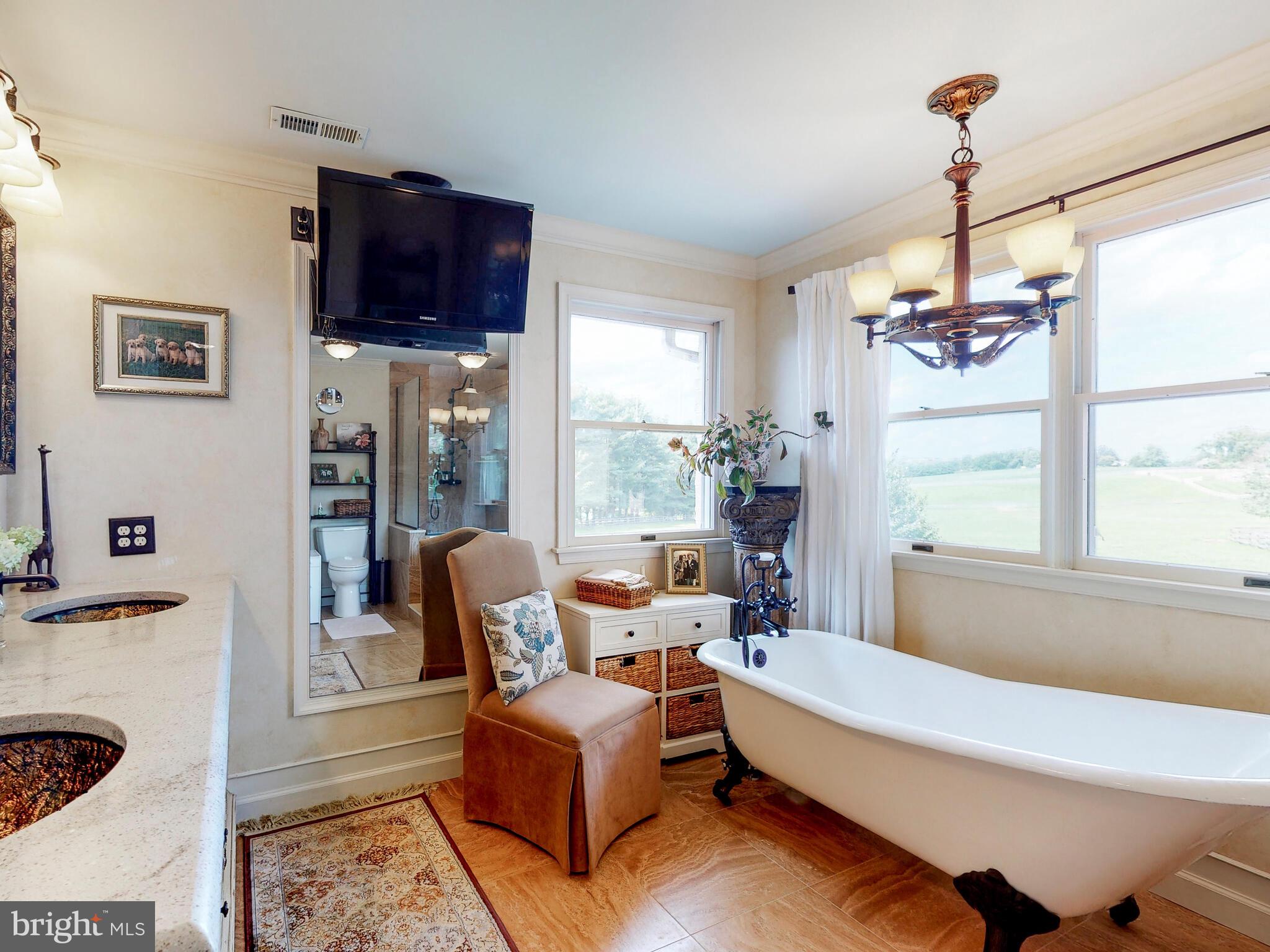 2812 Pocock Road Monkton, MD 21111 - Photo 50 of 94 Venetian inspired Bathroom with Heated Floors