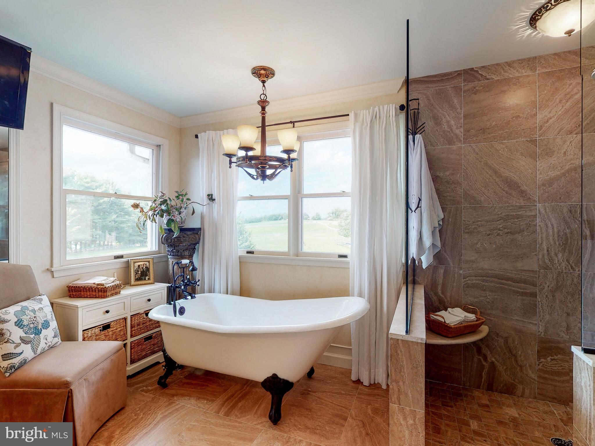 2812 Pocock Road Monkton, MD 21111 - Photo 51 of 94 Cast Iron Soaking Tub