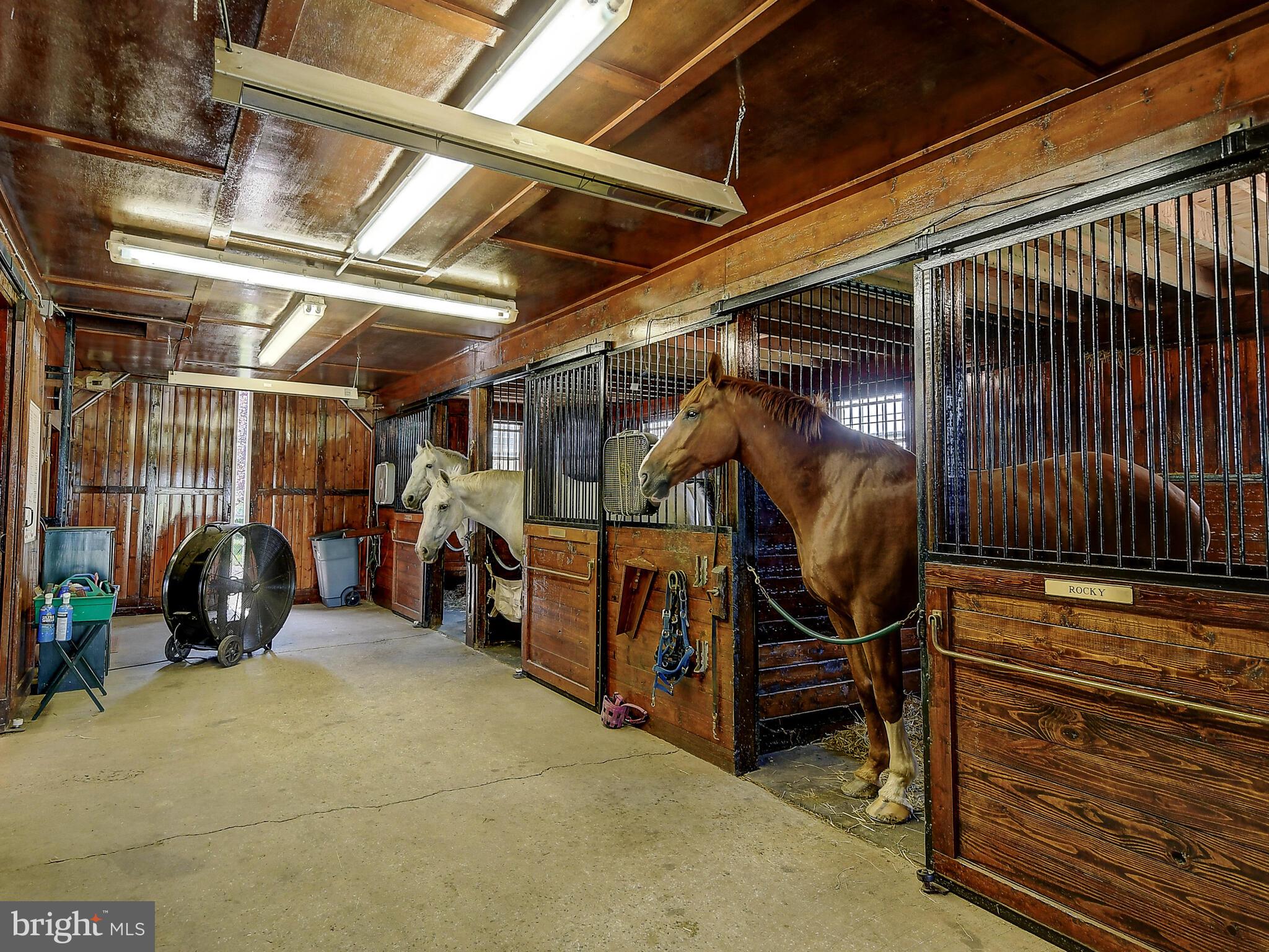 2812 Pocock Road Monkton, MD 21111 - Photo 81 of 94 Bring Your Horses. Everything is ready to go!