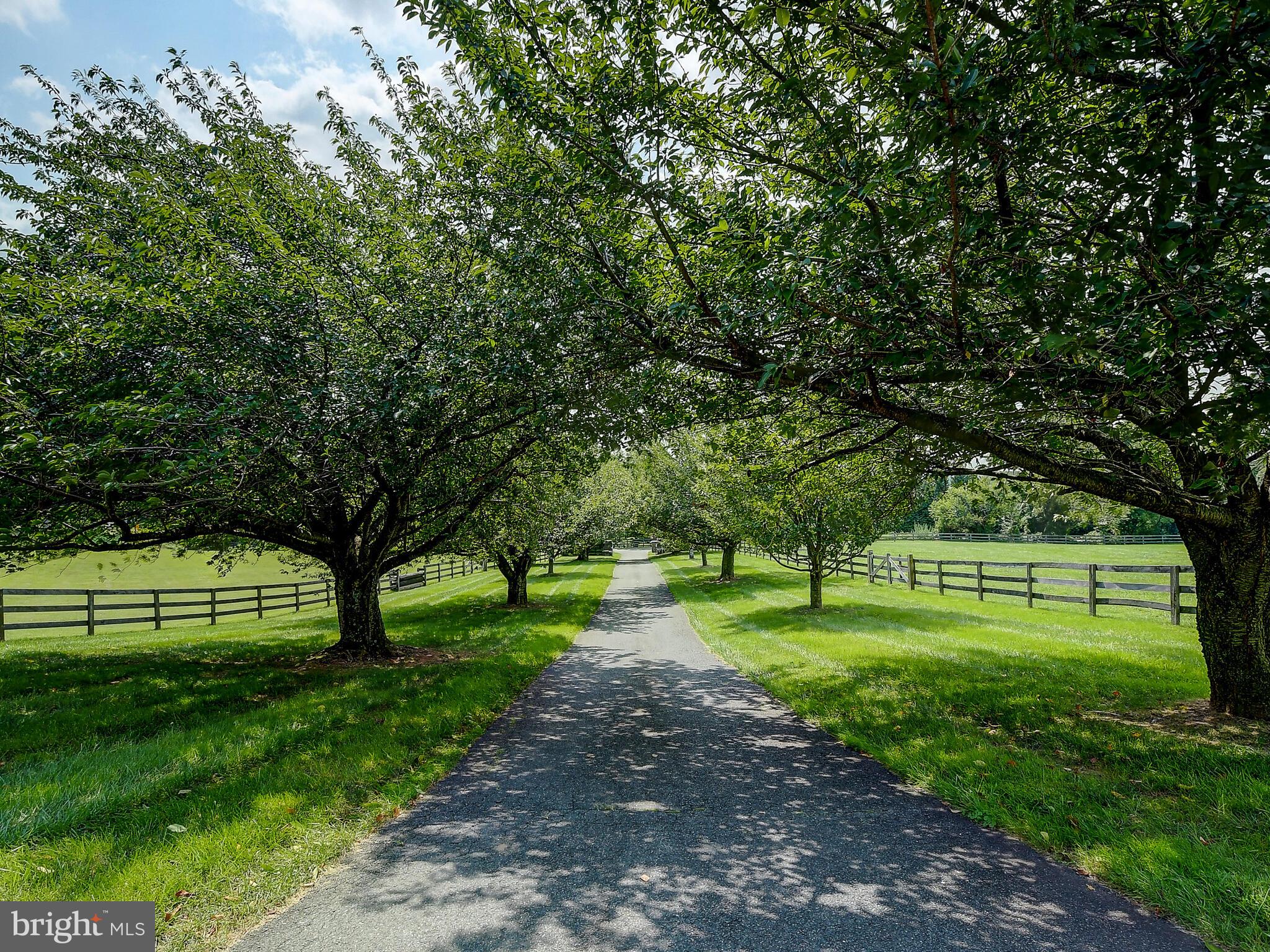 2812 Pocock Road Monkton, MD 21111 - Photo 88 of 94 Enjoy the Cherry Blossoms in the Spring