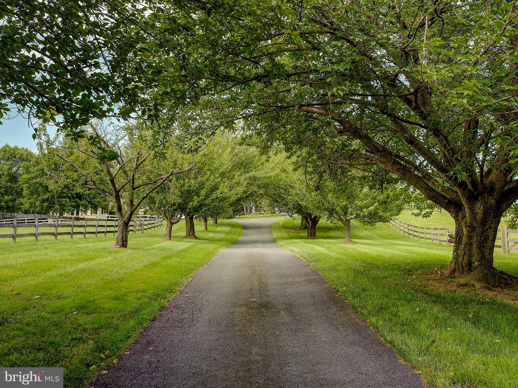 2812 Pocock Road Monkton, MD 21111 - Photo 89 of 94 Tree Lined Driveway