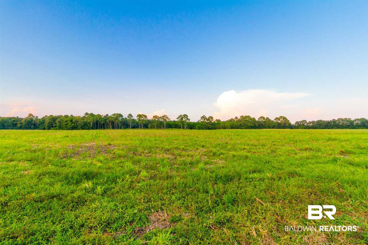 0 Carver Road Foley, AL 36535 - Photo 6 of 15