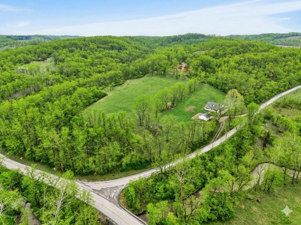 395 McGuffey Road West Alexander, PA 15376 - Photo 5 of 49 Wait where are the neighbors?? a 1/2 Mile done the road!!