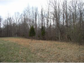 5197 Prince Road Heltonville, IN 47436 - Photo 1 of 4 Gallery Image 1