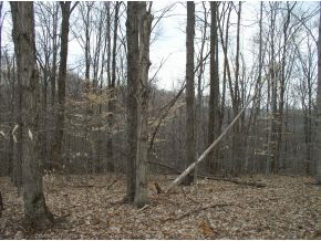 5197 Prince Road Heltonville, IN 47436 - Photo 3 of 4 Gallery Image 3