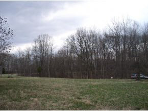 5197 Prince Road Heltonville, IN 47436 - Photo 4 of 4 Gallery Image 4