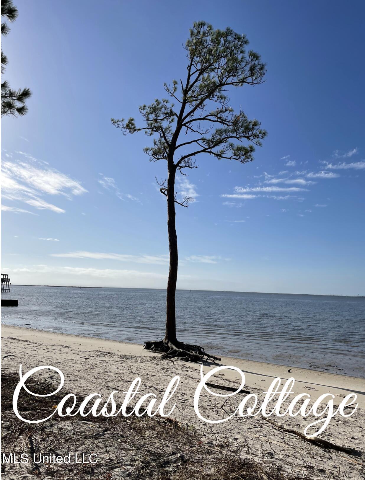 826 Township Road Gulfport, MS 39507 - Photo 36 of 40 coastal cottae tree