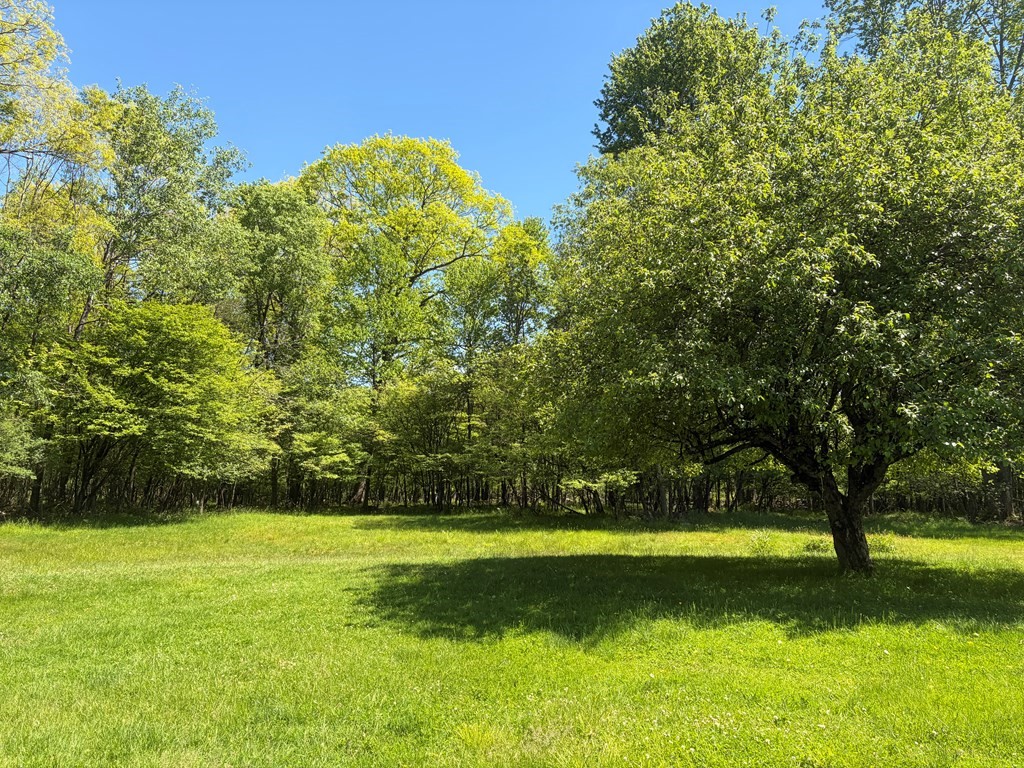 16148 Holbrook Road Pleasantville, PA 16341 - Photo 22 of 33