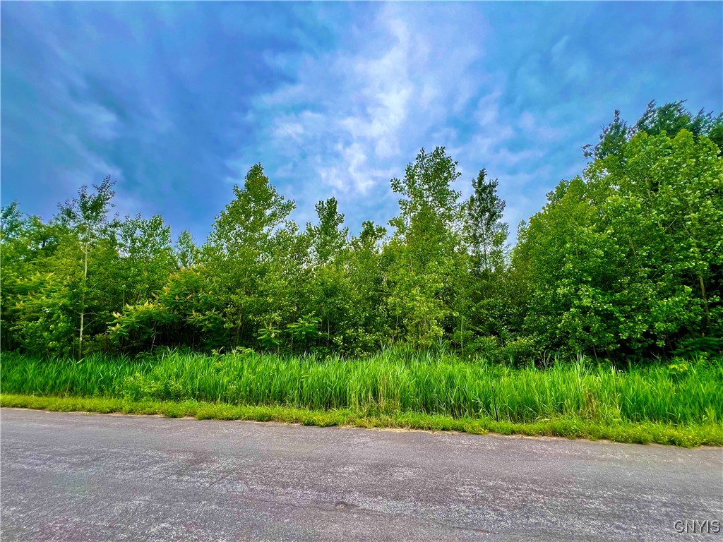 Lot 17 Forest Ridge Drive Utica, NY 13501 - Photo 1 of 6