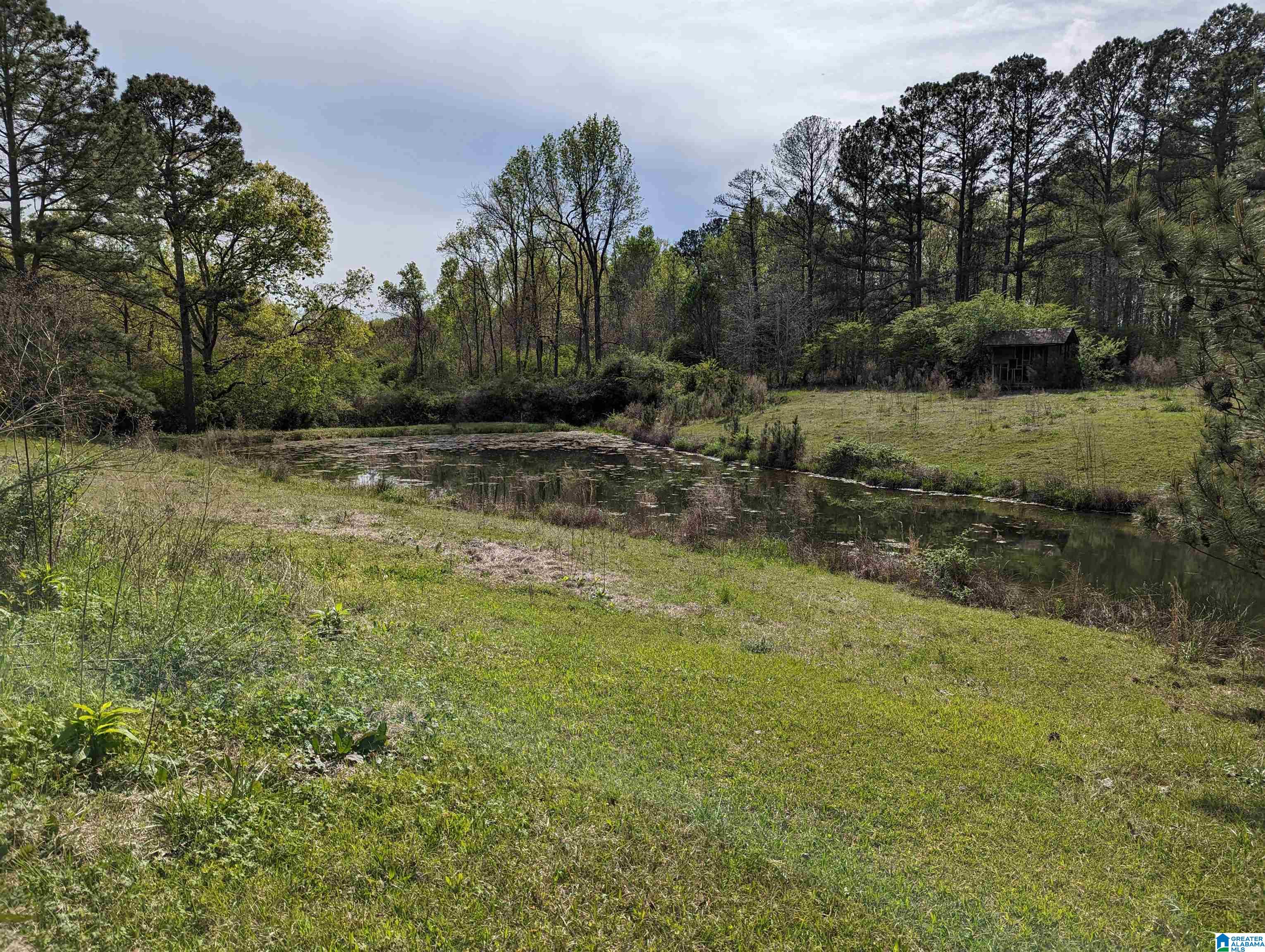 1383 Old Rock Creek Road Bessemer, AL 35023 - Photo 4 of 56