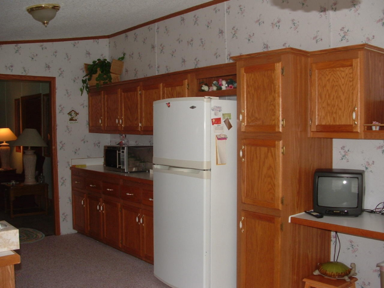 9612 North Granger Road Irons, MI 49644 - Photo 6 of 11 DSCF0062