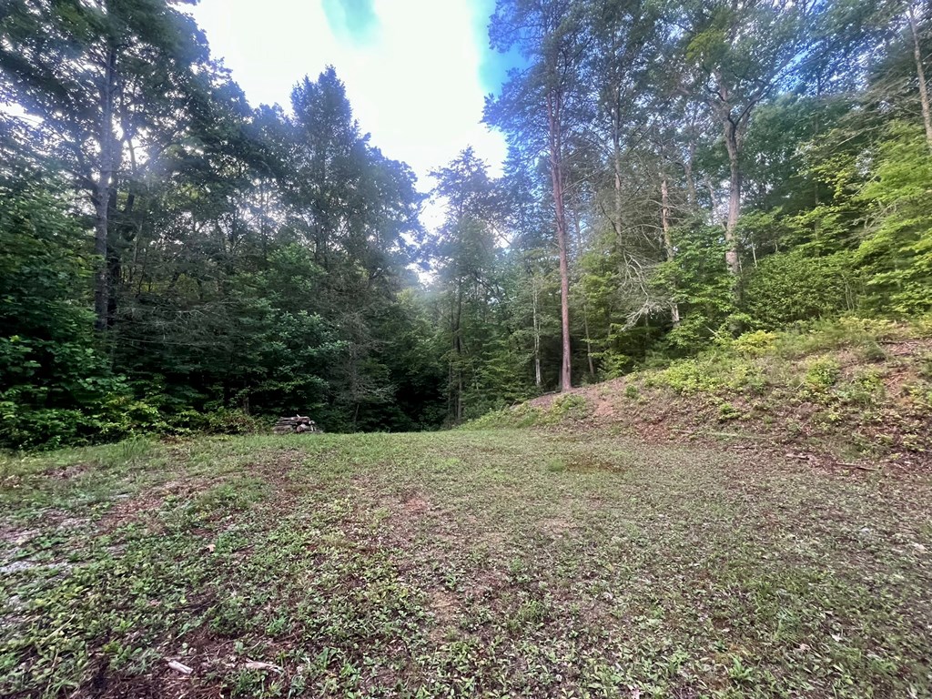 305 Cedar Mountain Lane Murphy, NC 28906 - Photo 11 of 11 a view of a yard with plants and trees