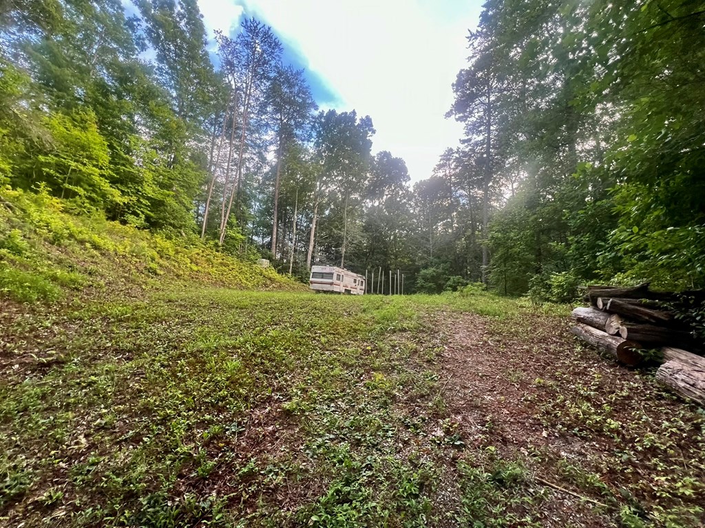 305 Cedar Mountain Lane Murphy, NC 28906 - Photo 9 of 11 a view of a park