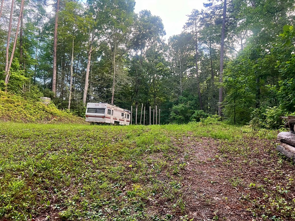 305 Cedar Mountain Lane Murphy, NC 28906 - Photo 10 of 11 a backyard of a house with lots of green space
