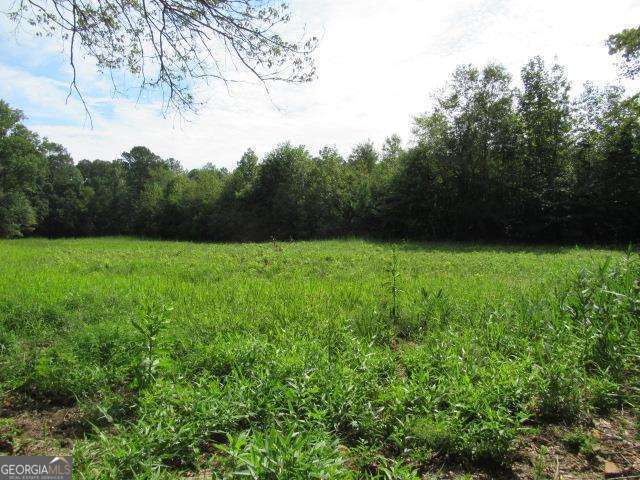 101 Winding Road, Unit LOT 5 Bowdon, GA 30108 - Photo 2 of 13 a view of field with trees in the background