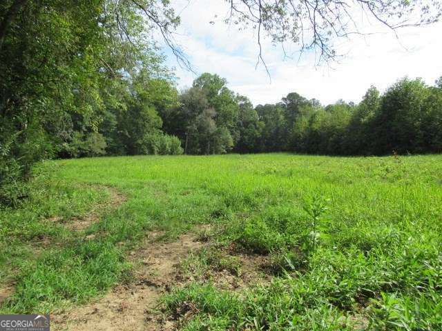101 Winding Road, Unit LOT 5 Bowdon, GA 30108 - Photo 4 of 13 a view of an outdoor space and a yard