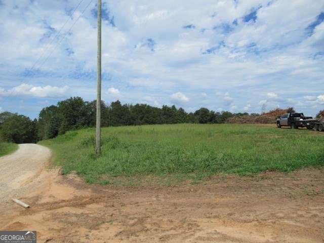 101 Winding Road, Unit LOT 5 Bowdon, GA 30108 - Photo 6 of 13 a view of a garden with a tree in the background