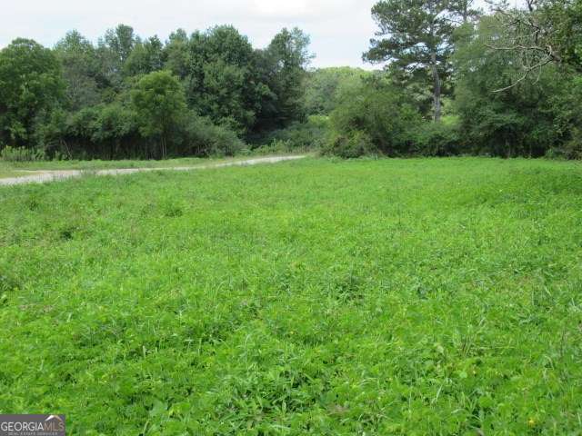 101 Winding Road, Unit LOT 5 Bowdon, GA 30108 - Photo 9 of 13 a view of a grassy field with trees in the background
