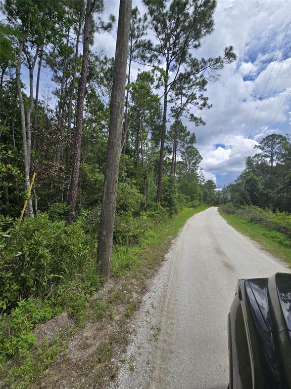1135 Omega Ranch Road, Unit 4&5 Deltona, FL 32738 - Photo 9 of 11 a view of a street both side of green space