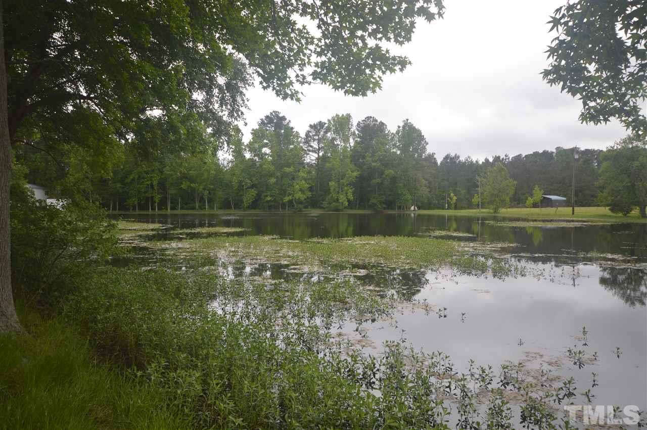329 Clinton Carlyle Road Zebulon, NC 27597 - Photo 23 of 24 a view of a lake